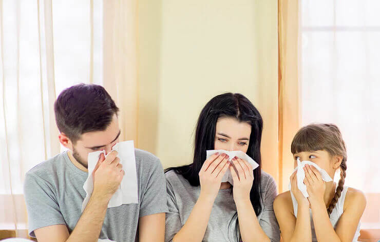 Can I Allergy-Proof My Home?