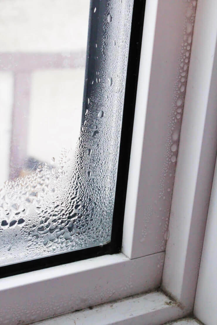 Damp Weather And Your Home